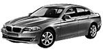 BMW F10 C1309 Fault Code